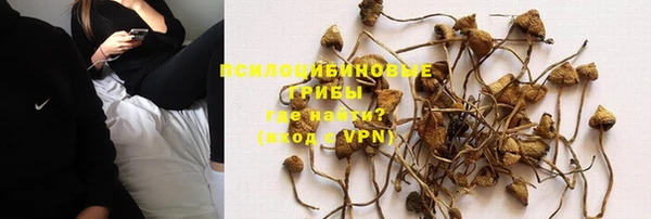 мескалин Болхов