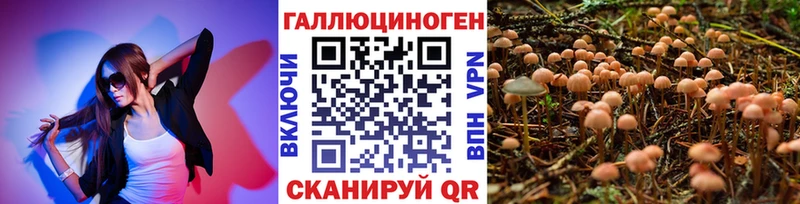 Галлюциногенные грибы Cubensis  наркота  Кандалакша 