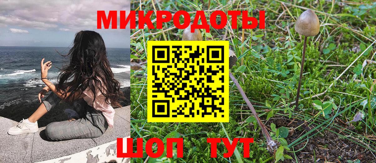 Галлюциногенные грибы Magic Shrooms Кандалакша