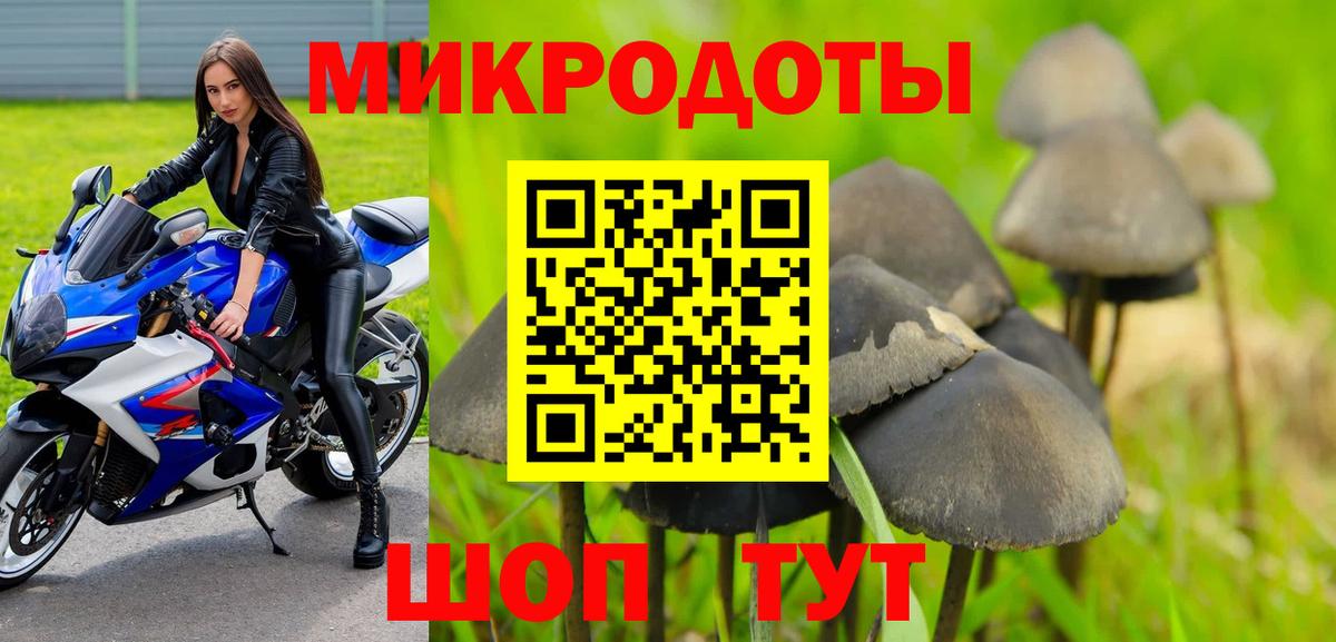 Галлюциногенные грибы MAGIC MUSHROOMS  Кандалакша 