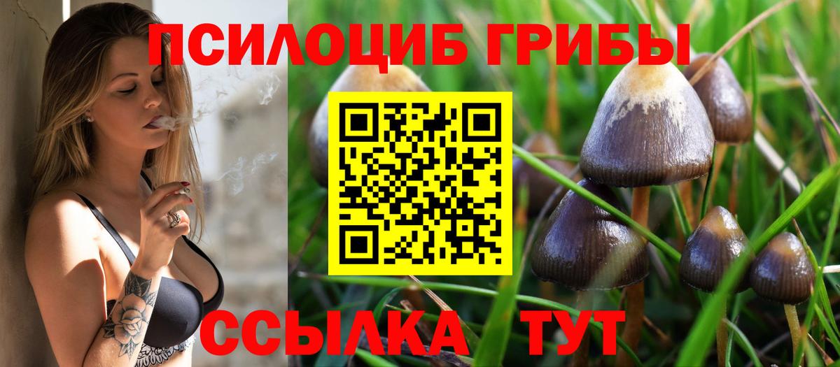 Галлюциногенные грибы мухоморы  Вход с VPN  Кандалакша 